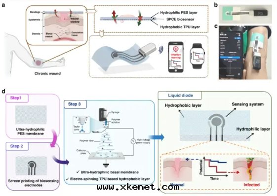 一(yī)種(zhǒng)基于(yú)液體(tǐ)二(èr)极(jí)管(guǎn)且(qiě)有(yǒu)超靈敏pH傳感(gǎn)能(néng)力的(de)智能(néng)繃带(dài)